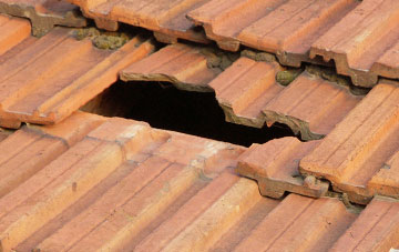 roof repair Denbury, Devon